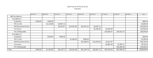 cash flow projection from MS project